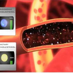 AB-BIOTICS, SA ha signat un acord amb LACER FARMA per a la distribució d’AB-LIFE
