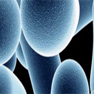 3 centres de recerca ubicats al PRUAB participen en una nova plataforma de bionanomedicina