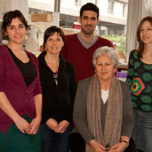 Avanços per tractar l’ Alzheimer