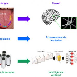 La UAB crea un sensor electrònic pel cava