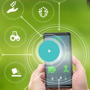 Ajuts a pimes i startups tecnològiques amb productes aplicables al sector agrícola
