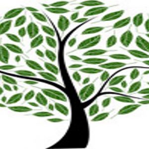 Nanopartícules per produir biogàs
