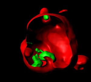 Nanocàpsules de virus per tractar infeccions