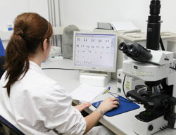 La Jornada Científica de Bioquímica i Biologia Molecular arriba a la 10a edició