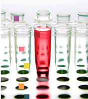 Obertes les inscripcions per a BioEmprenedorXXI, EcoEmprenedorXXI i EmprenedorXXIDigital