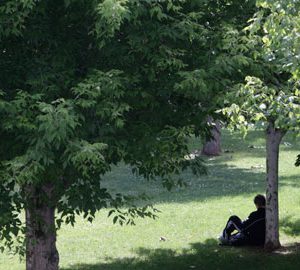 La UAB, al capdavant de les universitats de l’Estat al rànquing mundial GreenMetric