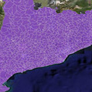 Creixement de l’economia catalana (2000-2010)