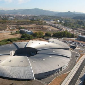 Visualitzen amb llum de sincrotró l’acumulació de calci en algues marines