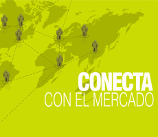 Assesorament internacional