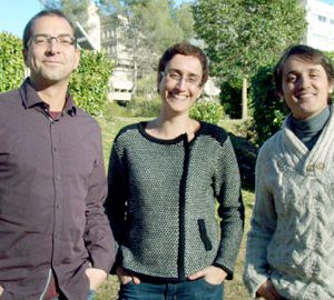 Tres projectes Consolidator Grant per a investigadors del clúster BNC-b