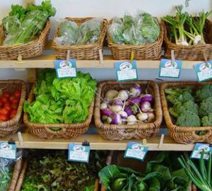 Alumnat de l’Escola Universitària de Turisme i Direcció Hotelera UAB dissenyarà una cooperativa agroalimentària