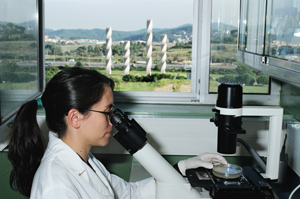 Les perspectives professionals en el sector biomèdic