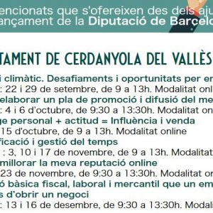 Formació per a millorar les capacitats de gestió empresarial, adreçades a persones emprenedores i empreses en consolidació