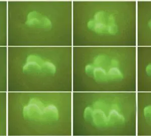 Reprodueixen canvis evolutius manipulant el desenvolupament embrionari del ratolí