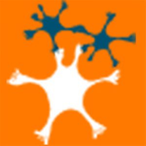 Programa per enfortir l’emprenedoria social