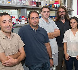 Una tecnologia amb nanopartícules triplica la producció de biogàs