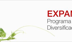 S’obre la convocatòria 2014 ajuts del programa Expansiona’t
