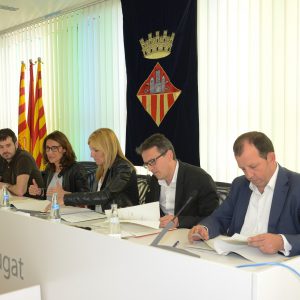 El Consell Plenari del CIT acorda potenciar la seva estratègia de col·laboració territorial