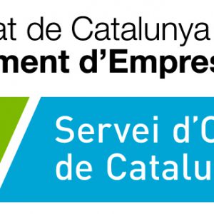 Subvencions per a empreses per accions de formació per a l’ocupació: Programa Forma i Insereix