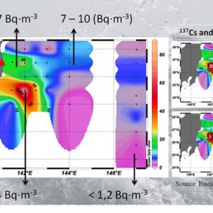 Investigadors de l’Institut de Ciència i Tecnologia Ambientals (ICTA) i del Departament de Física de la UAB han constatat que l’accident de Fukushima va augmentar l’estronci radioactiu a la costa est de Japó