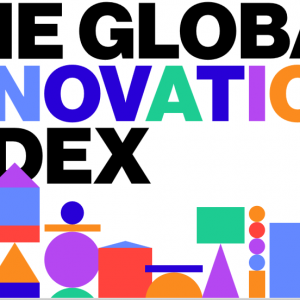 THE GLOBAL INNOVATION INDEX 2015