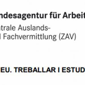 Mobi Pro-EU, Treballar i estudiar a Alemanya