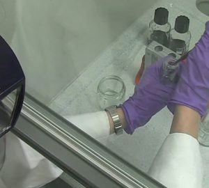 Tres grups de l’Esfera UAB-CEI reben ajuts per potenciar la transferència tecnològica