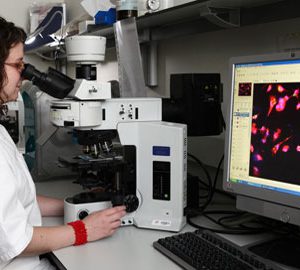 La UAB, en la vuitena posició mundial del rànquing SIR Iber 2015