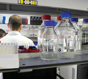 El programa Comfuturo finançarà 13 projectes de recerca realitzats al CSIC