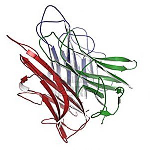 El CSIC, la UB i la UAB llicencien 1patent