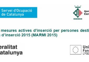 Programa de mesures actives d’inserció per persones destinatàries de la renda mínima d’inserció 2015