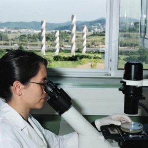 La UAB: Nº14 en rànquing mundial