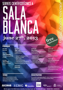Jornada nanoquim 2013 : Serveis cientificotècnics a la Sala Blanca