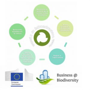 El Parc Alba obté el segell “Business @ Biodiversity” atribuït a finals del mes passat per la Comisió Europea