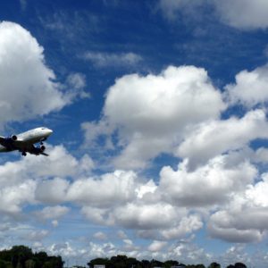 The trouble with travel distribution
