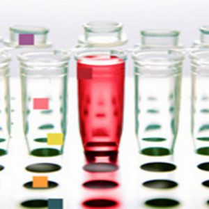 La UAB i el Premi BioEmprenedor XXI