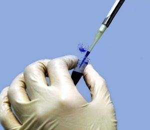 TDCAT:  Tesis doctorals en català