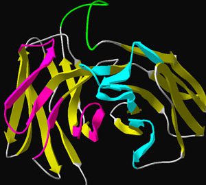 PRECIPITA selecciona un projecte de micromecenatge de la UAB contra l’Alzheimer