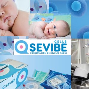 El SCS acredita a Sevibe Cells