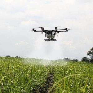 Premi a la Innovació Tecnològica Agroalimentària