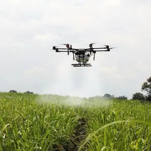 Premi a la Innovació Tecnològica Agroalimentària